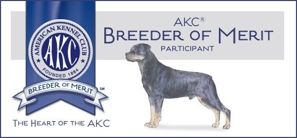 AKC Breeder of Merit Participant