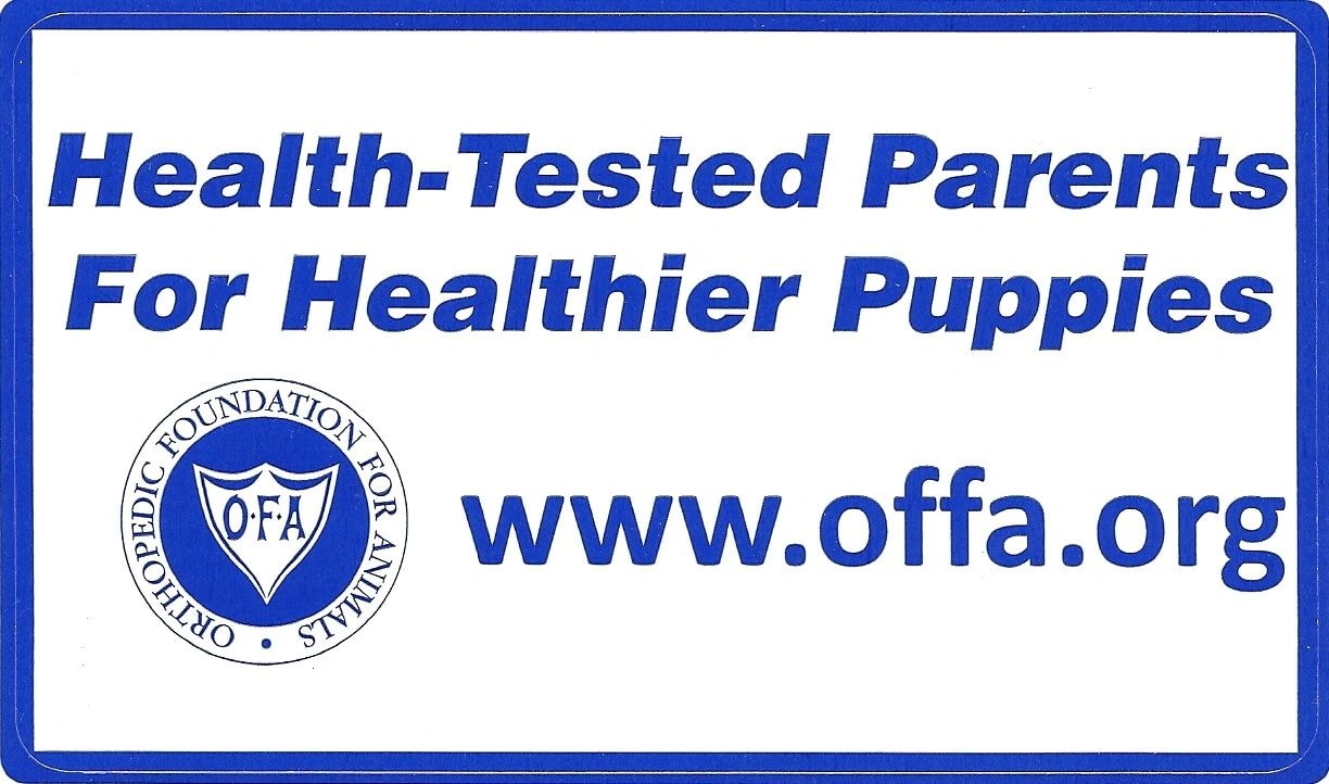 Health-Tested Parents For Healthier Puppies — OFA