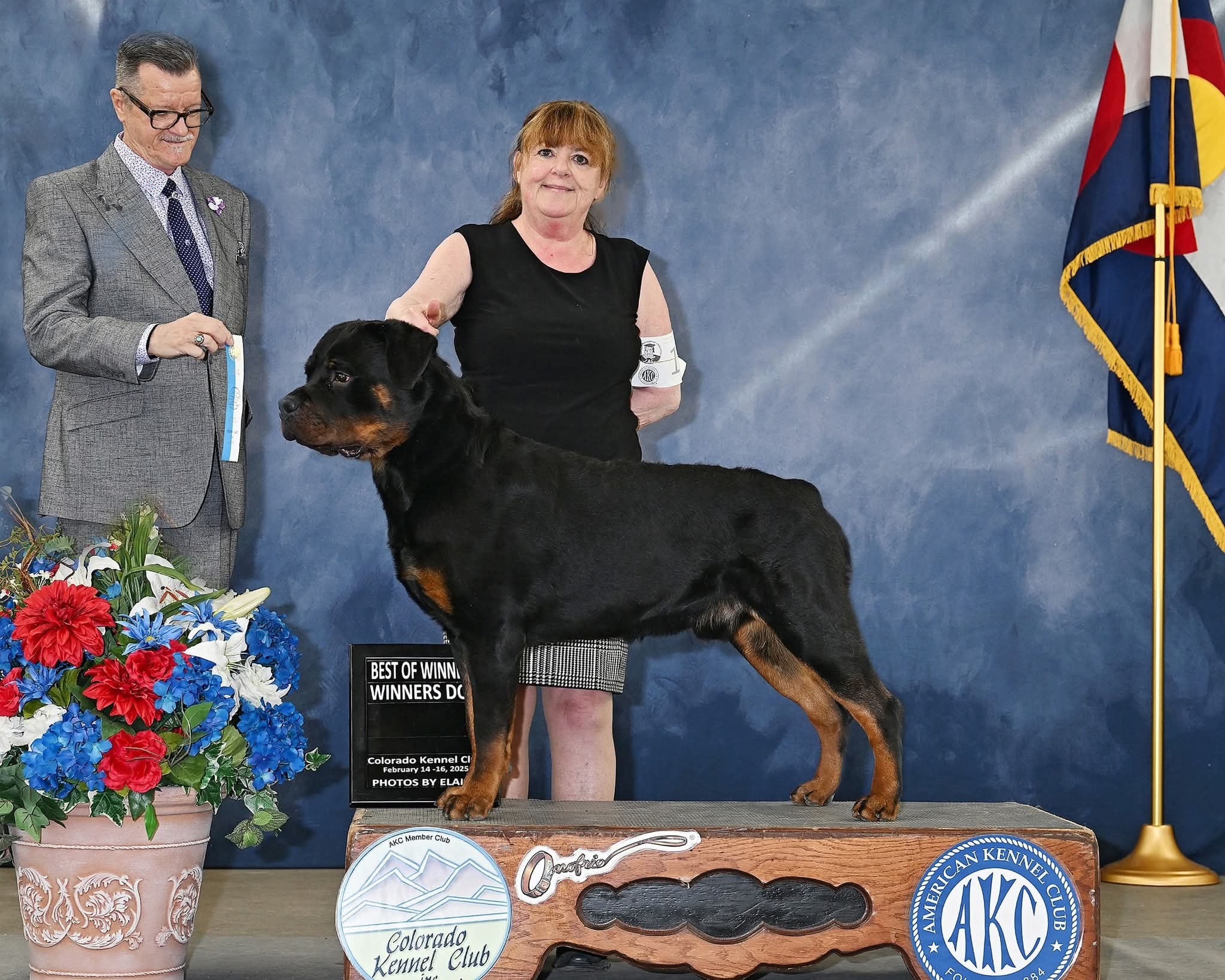 TYSON — CH TCB'S V Skywind Troubadour